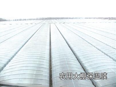 母料在吹膜-工業(yè)、農(nóng)業(yè)、包裝中的運用